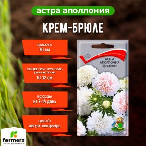 Семена Астра Аполлония Крем-брюле 0,3гр