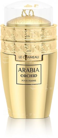 Le Chameau Arabia Orchid