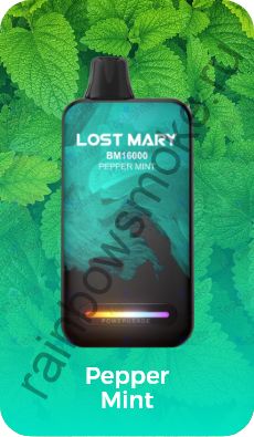 Одноразовая ЭС Lost Mary BМ 16000 - Pepper Mint (Перечная Мята)