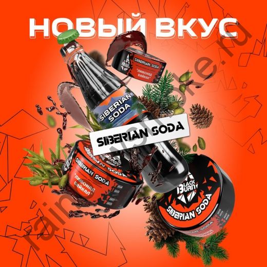 Black Burn 200 гр - Siberian Soda (Лимонад Байкал)