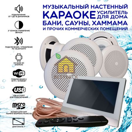 Комплект домашней акустической системы с караоке-усилителем Steam & Water SOUND 5 Standart