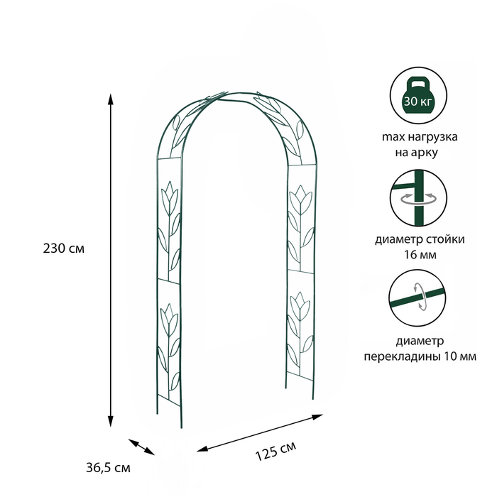 Арка садовая, разборная, 230 ? 125 ? 36.5 см, металл, зелёная, «Тюльпан»