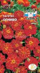 Tagetes-Ognivo