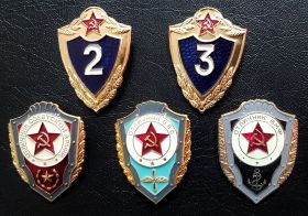 Значки Армейская 2 и 3 классность + отличники ВВС,ВМФ,СА Oz ЯМ